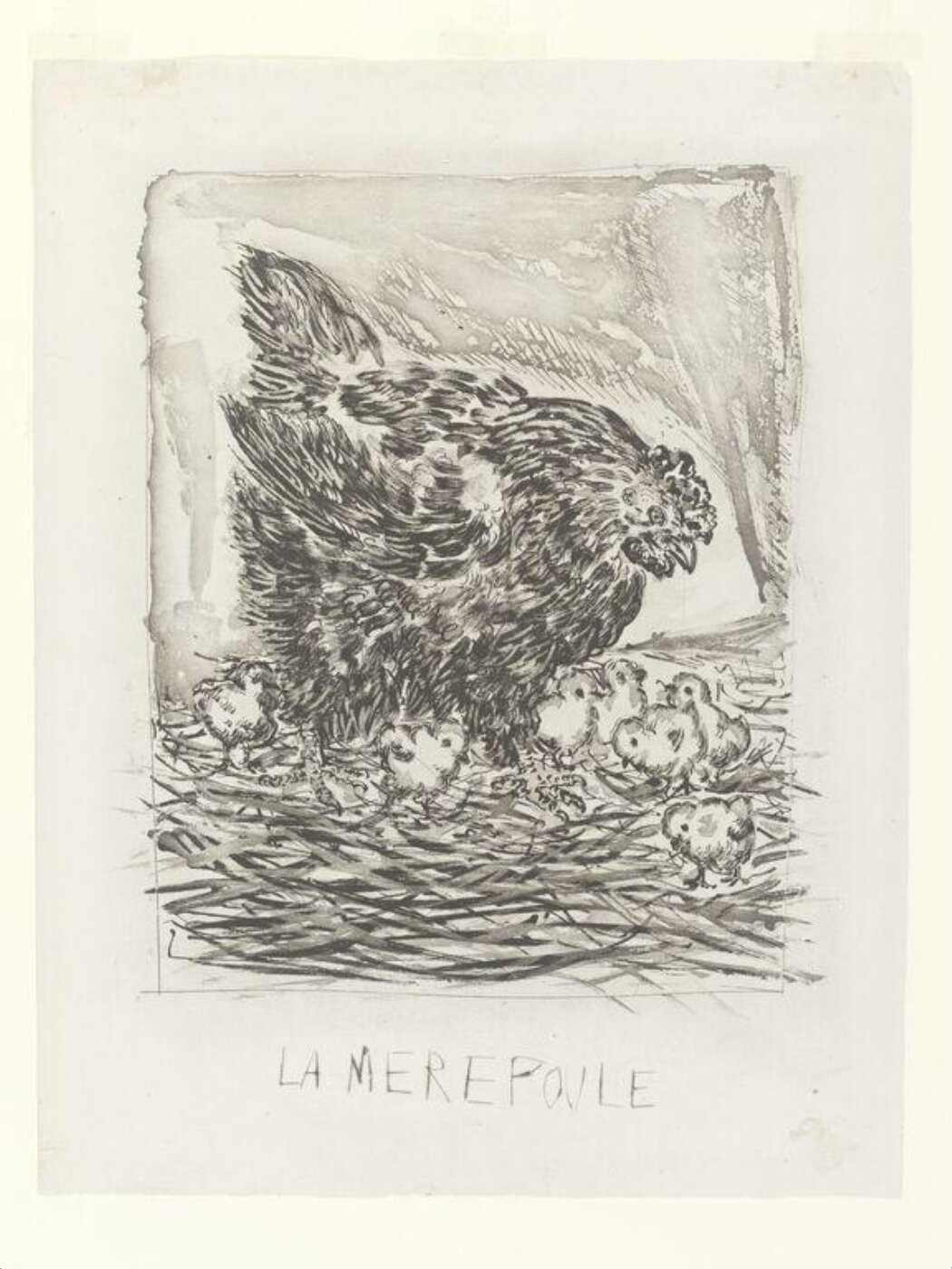 Pablo Picasso, Histoire Naturelle