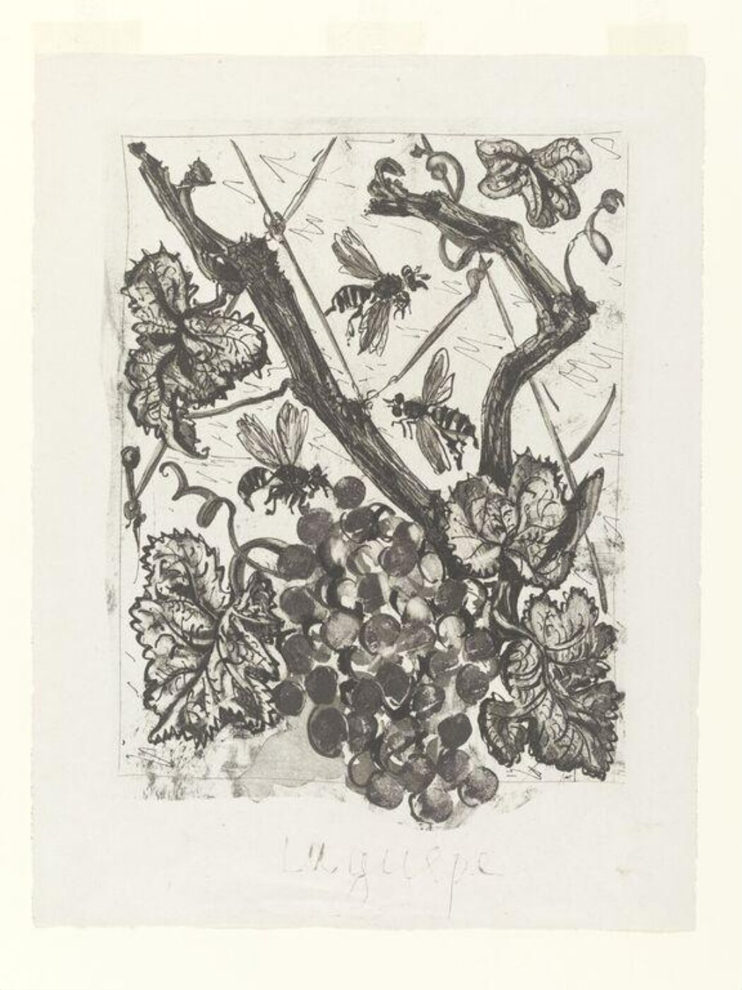 Pablo Picasso, Histoire Naturelle