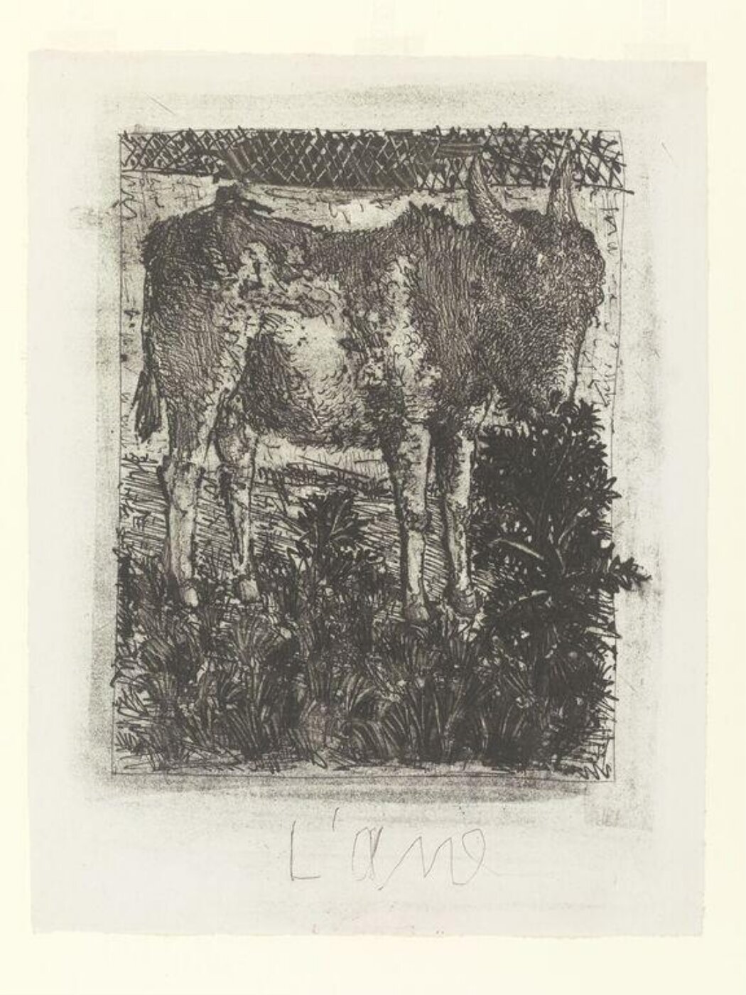 Pablo Picasso, Histoire Naturelle