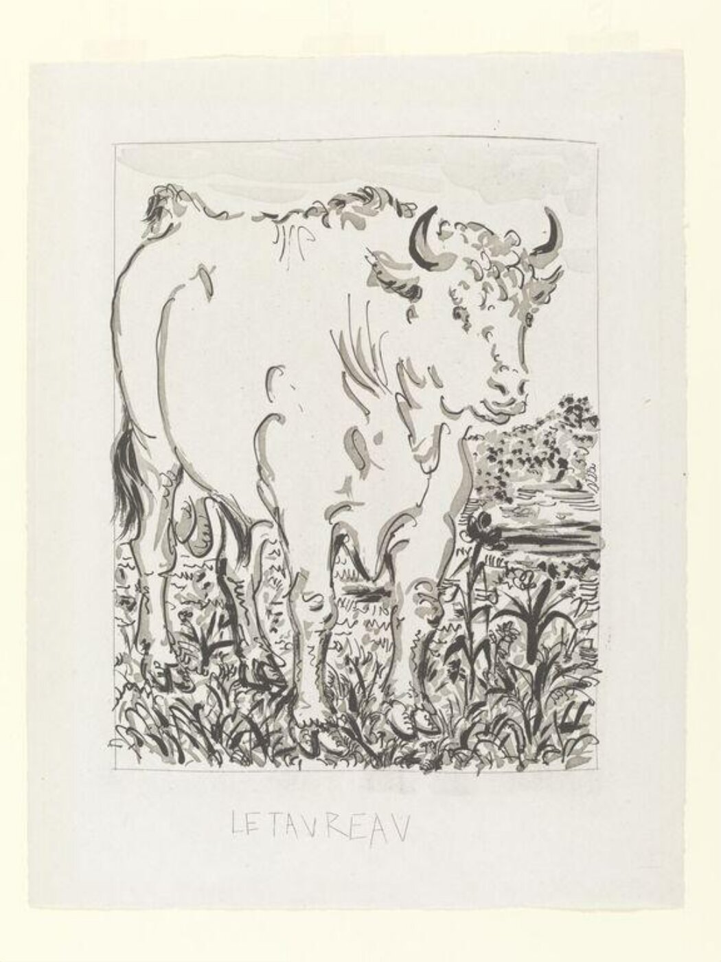 Pablo Picasso, Histoire Naturelle