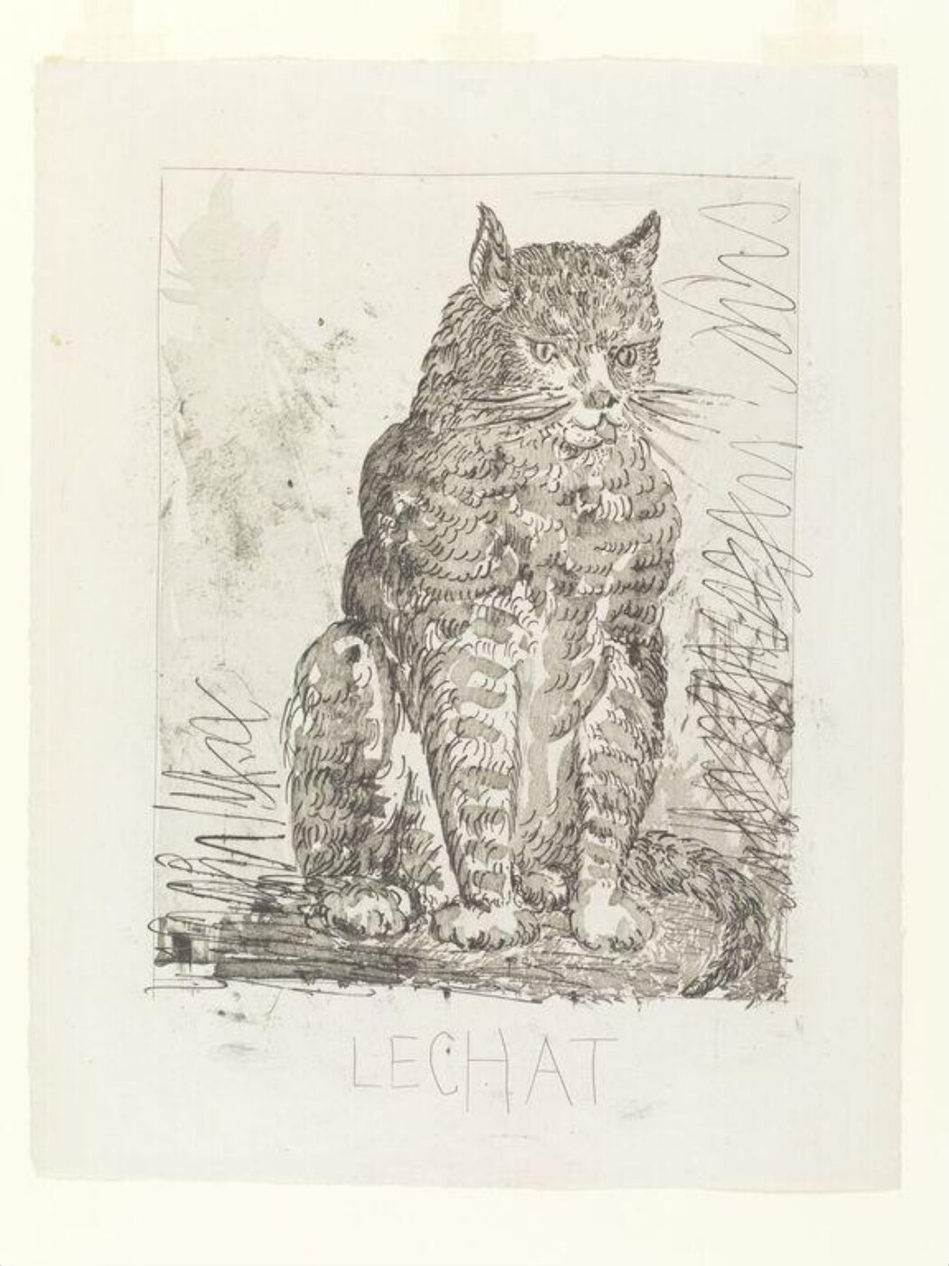 Pablo Picasso, Histoire Naturelle