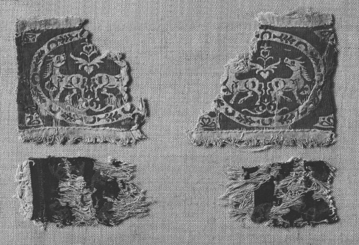 Textile Fragment top image