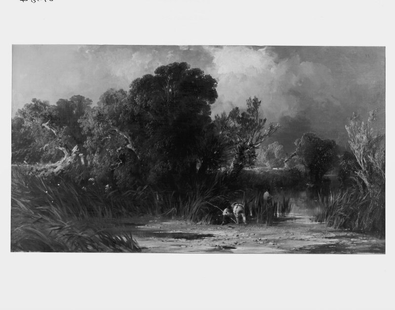 Landscape: amongst the rushes