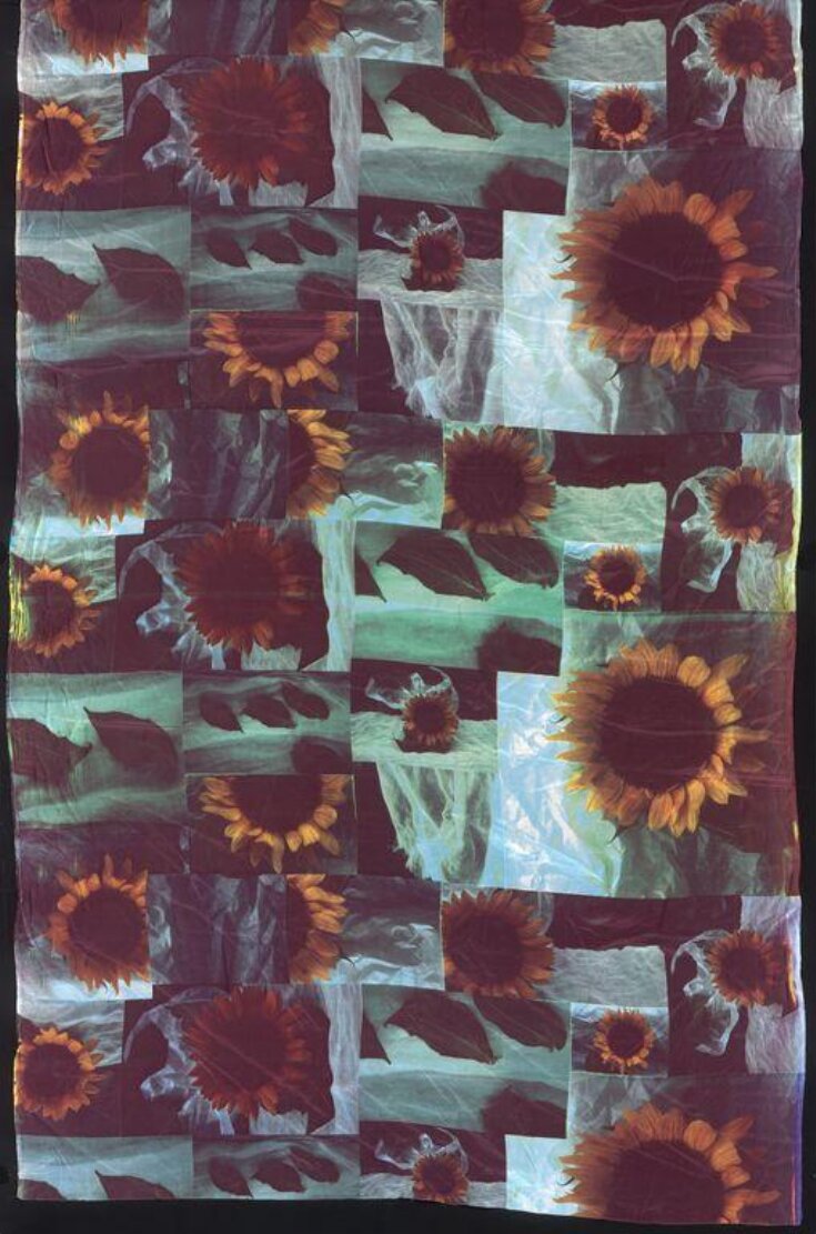 Sunflower top image