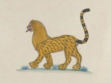 A lion-cum-tiger with a mane thumbnail 1