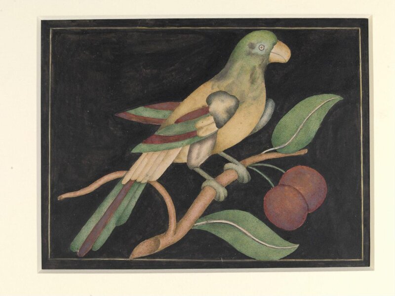 Detail of pietra dura work from the Diwan-i Am, Delhi Palace and Fort