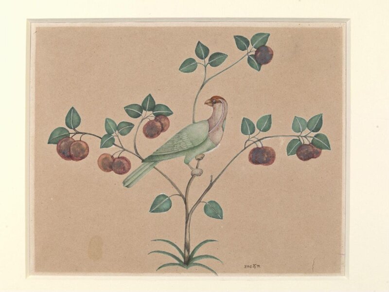 Detail of pietra dura work from the Diwan-i Am, Delhi Palace and Fort