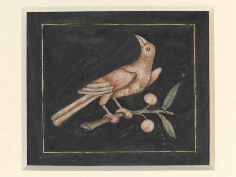One on seven details of pietra-dura work showing flowers and birds on the walls of the Diwan-i Am, Delhi Palace and Fort