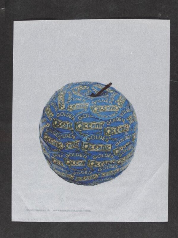 Golden Delicious | Rook, Anne | V&A Explore The Collections