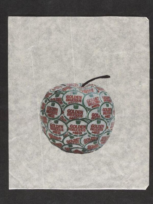 Golden Delicious | Rook, Anne | V&A Explore The Collections