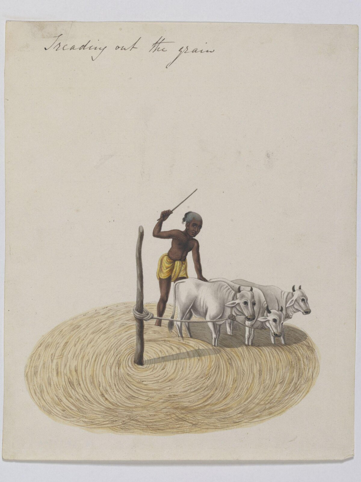 Threshing paddy, ca. 1826