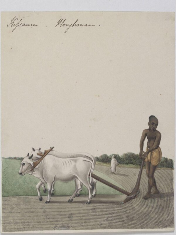 A cultivator