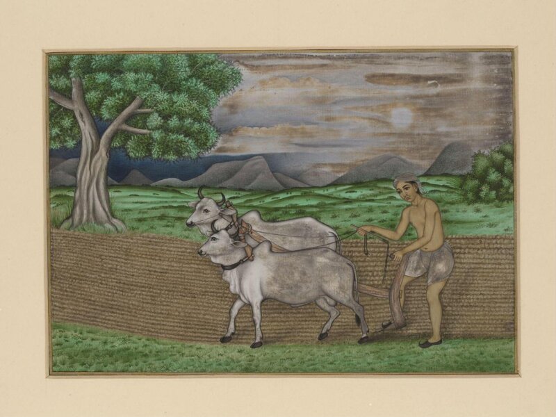 A villager ploughing with two bullocks; a hilly landscape in the background.