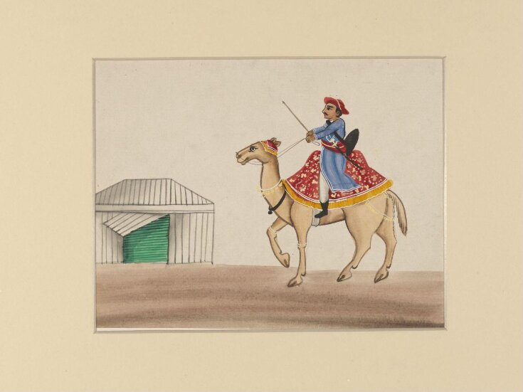 A camel and rider top image