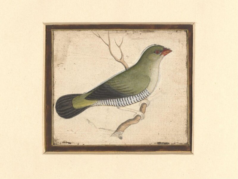 Two paintings of birds on a single sheet