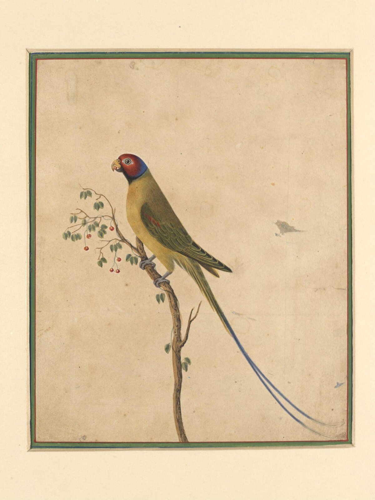 A parakeet, Bahadur Lal II, ca. 1880