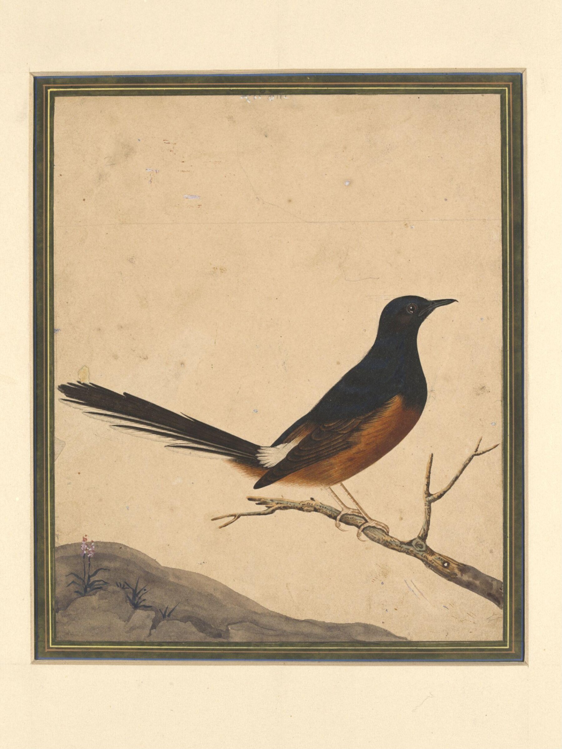 A bird on a branch, Bahadur Lal II, ca. 1880