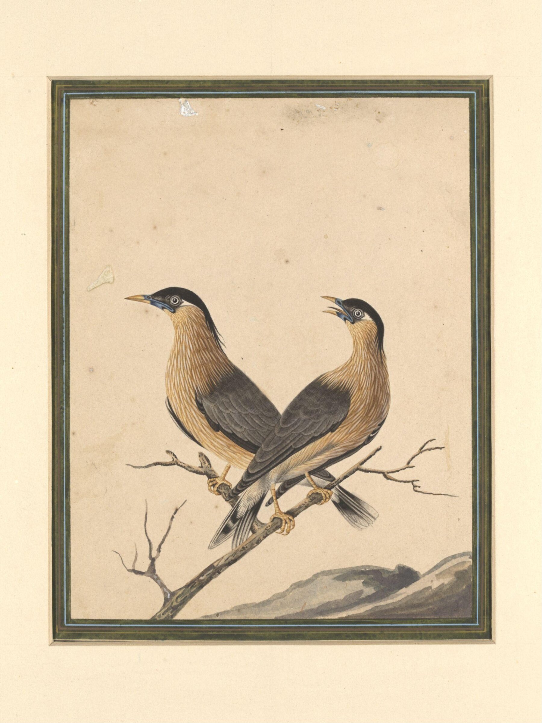 Two birds on a branch, Bahadur Lal II, ca. 1880