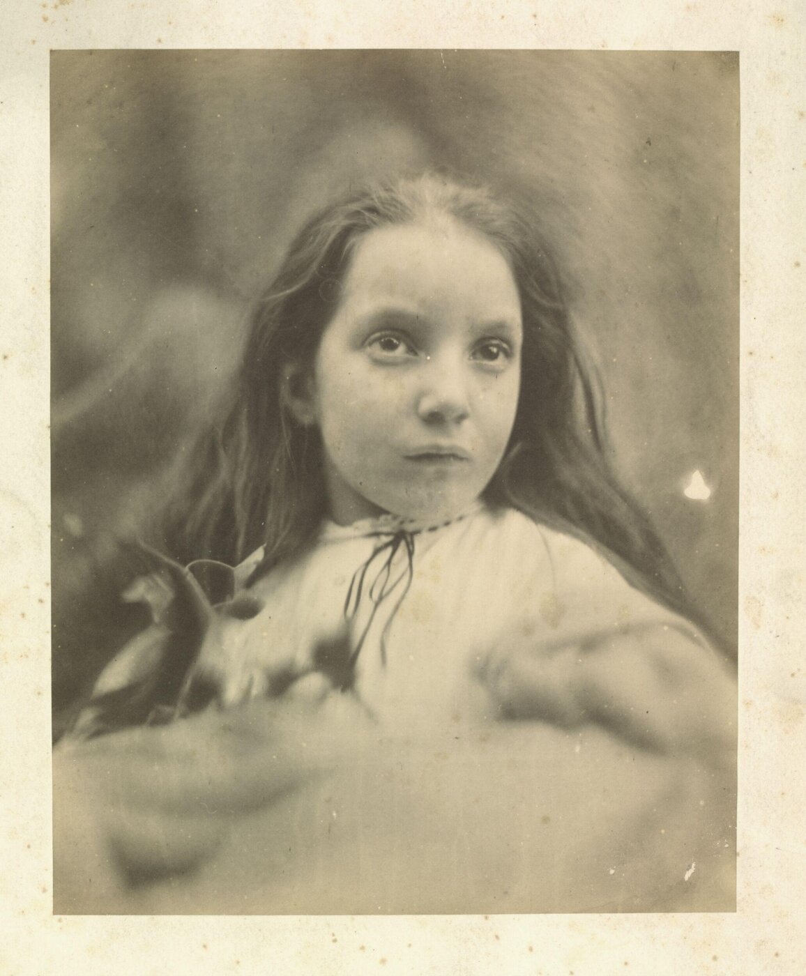 Cameron, Julia Margaret, Charlotte Norman