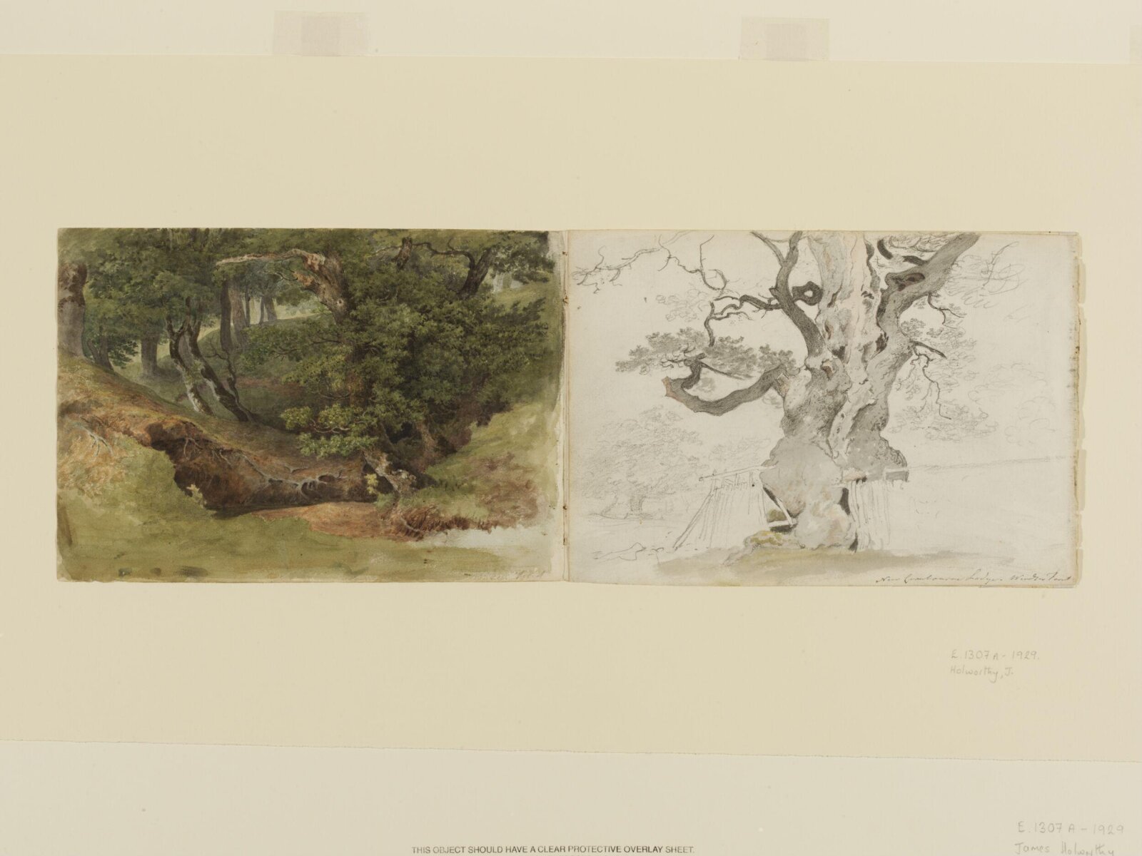 Windsor Forest, James Holworthy, ca. 1805-1806