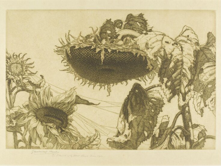 Sunflowers | Rhead, George Woolliscroft | V&A Explore The Collections