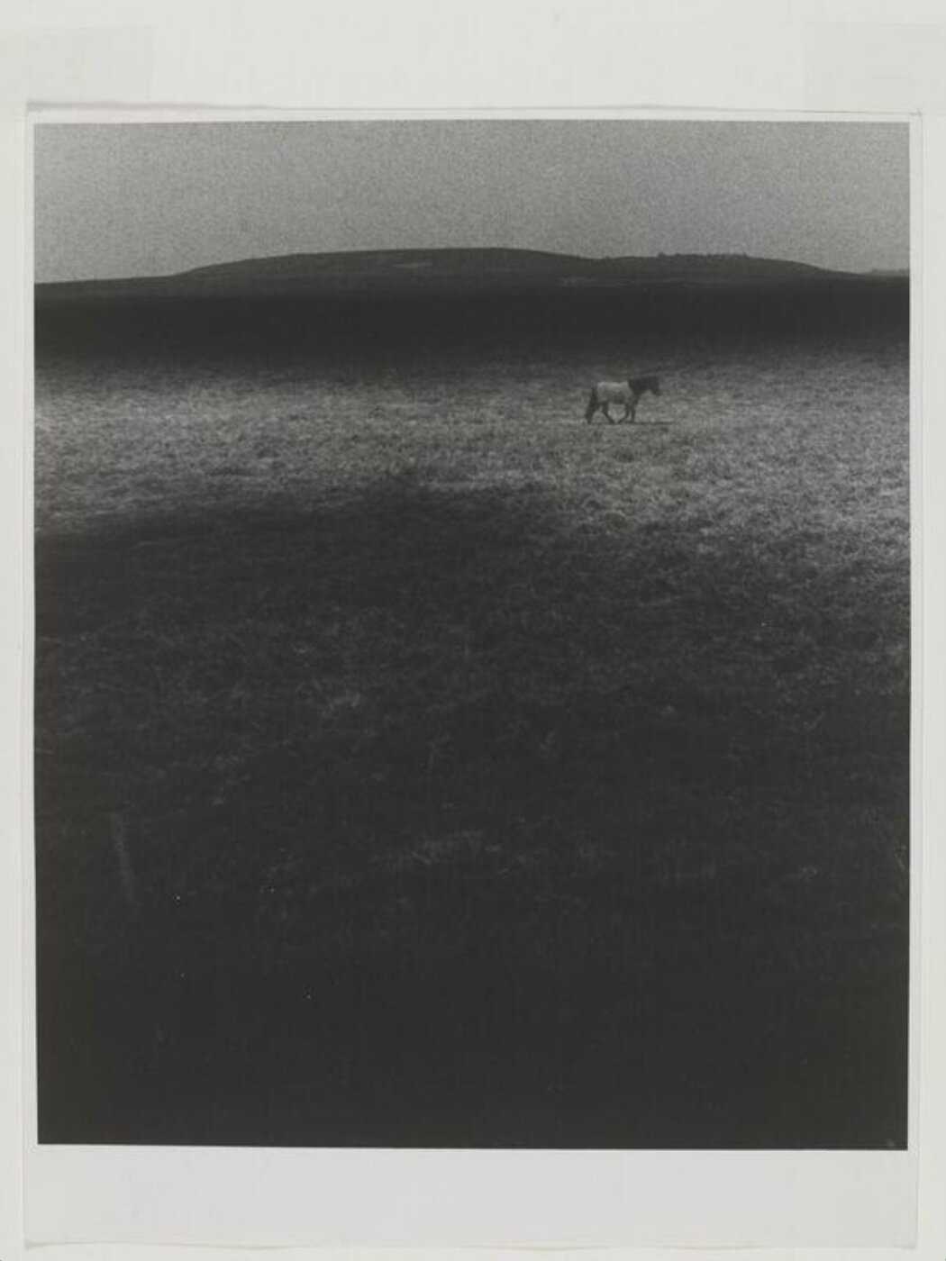 Bill Brandt, Thomas Hardy:  Egdon Heath