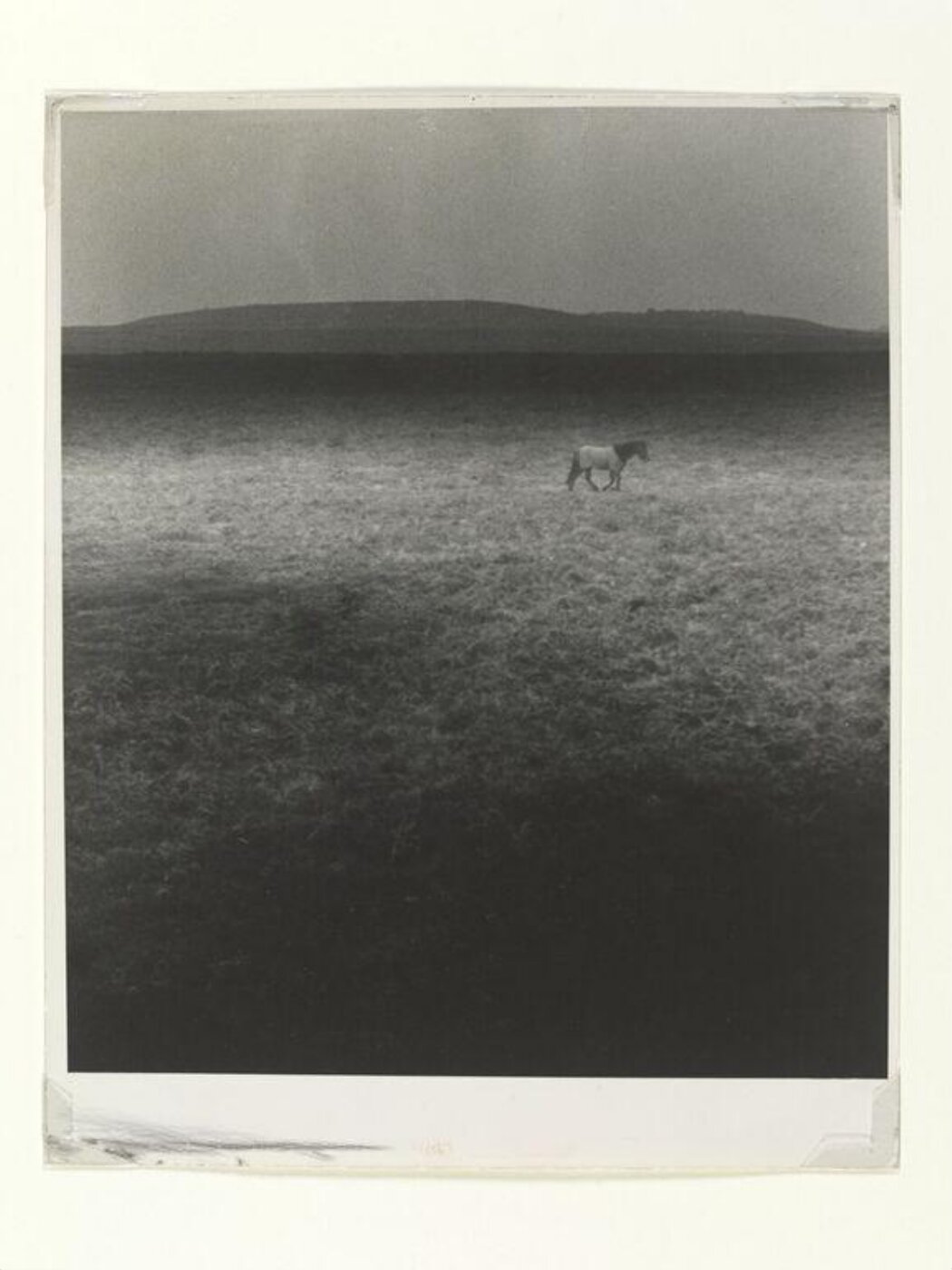 Bill Brandt, Thomas Hardy:  Egdon Heath