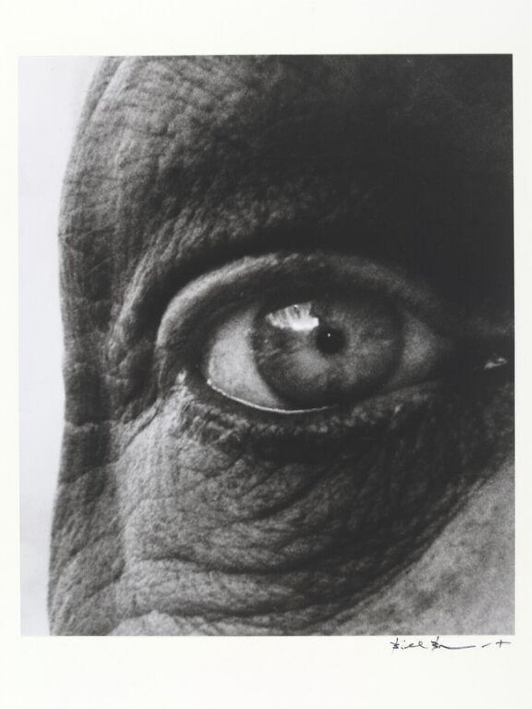 Bill Brandt, Dubuffet's Right Eye