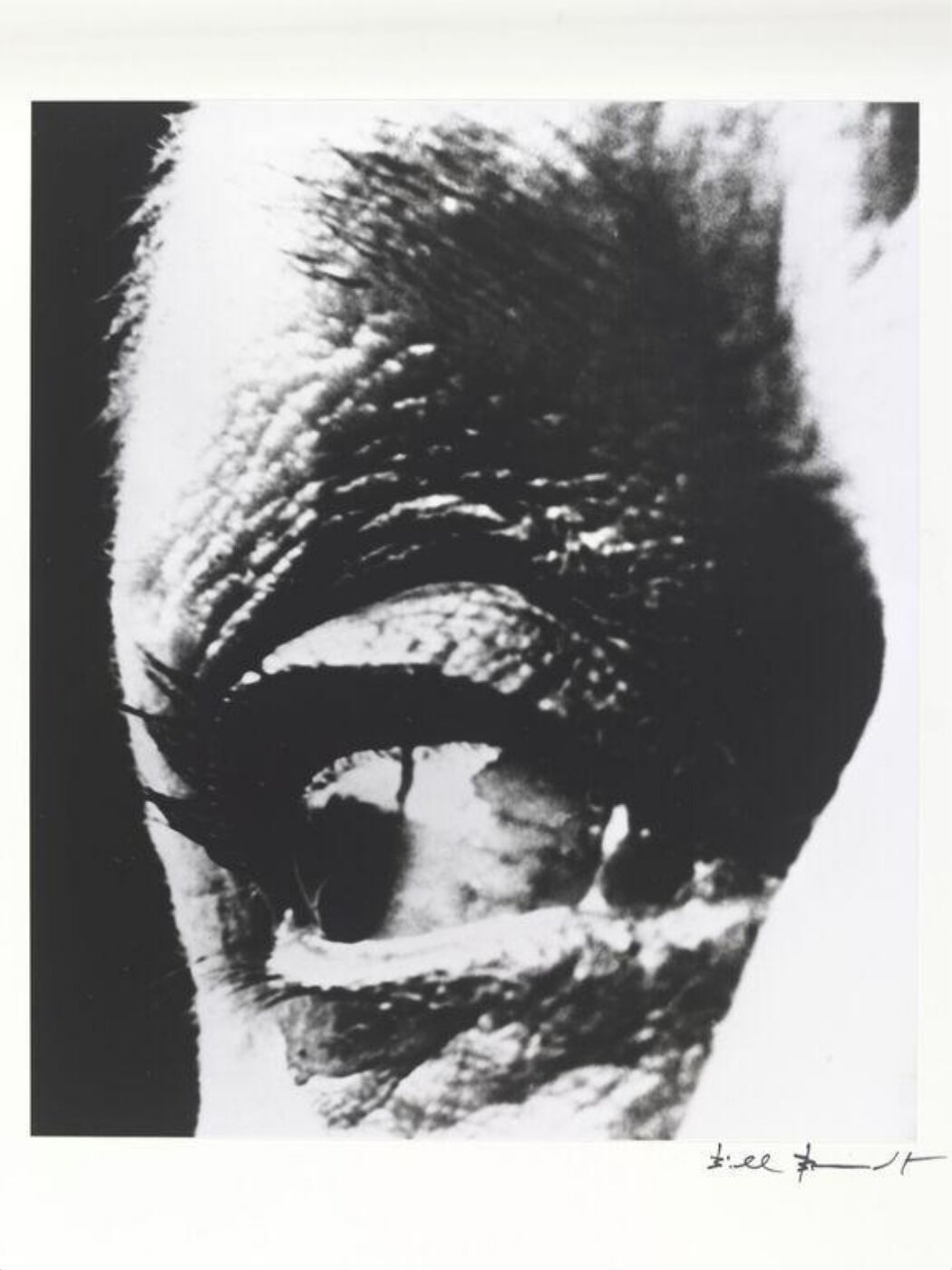Bill Brandt, Louise Nevelson's Eye