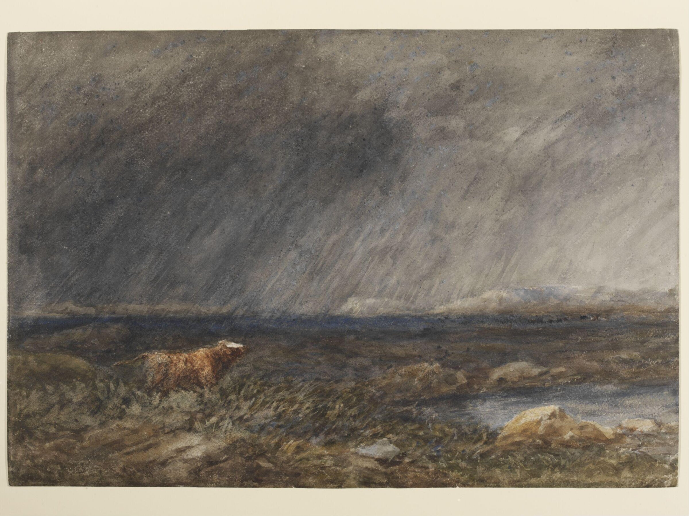 The Challenge: A Bull in a Storm on a Moor, David Cox the elder, 1850s