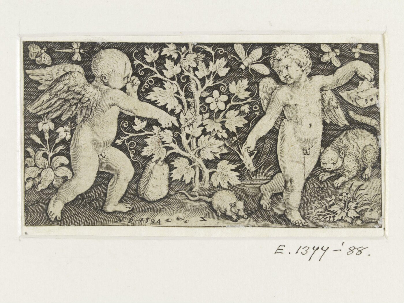 Nicolaes de Bruyn, Print