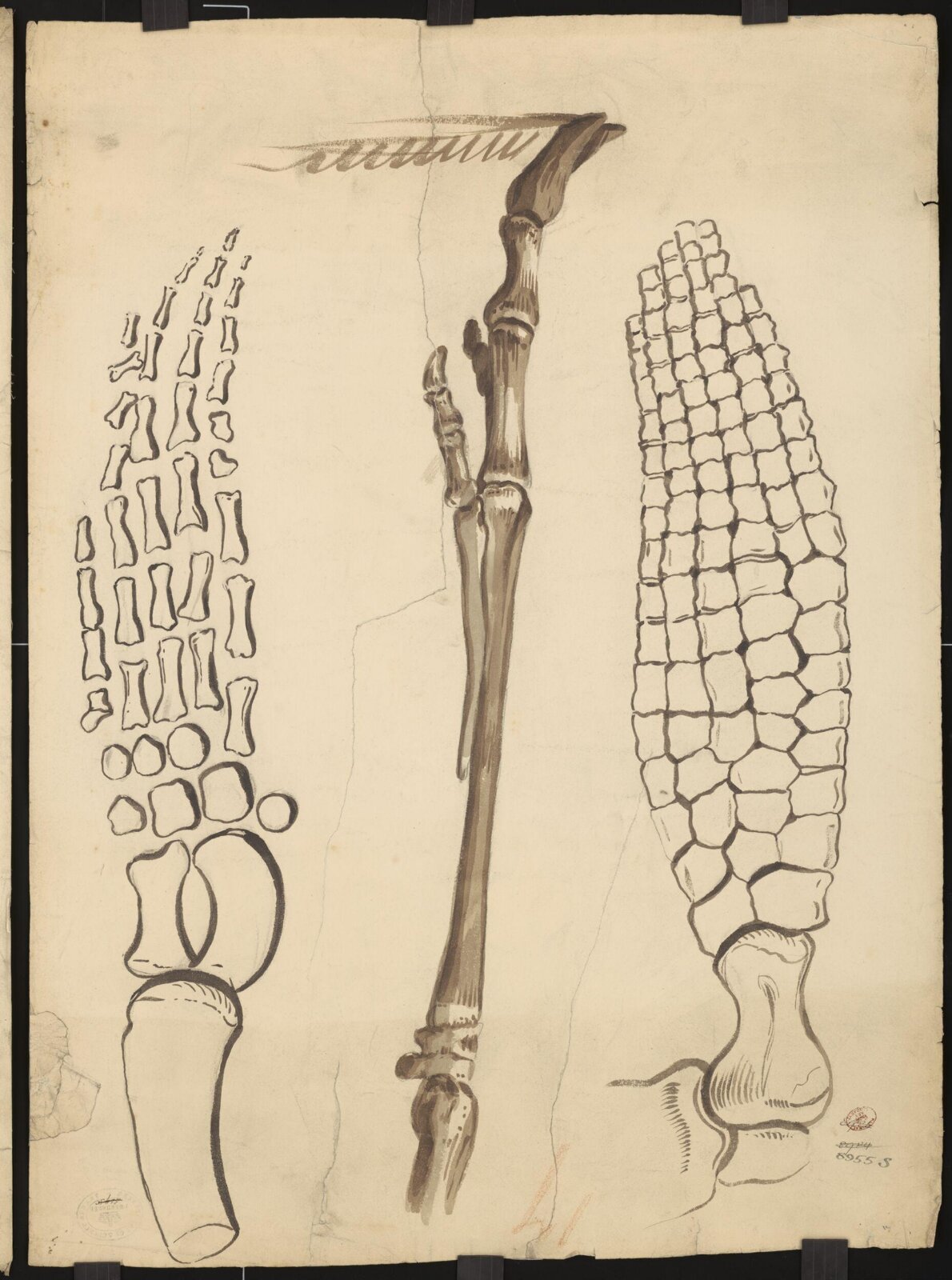 Drawing