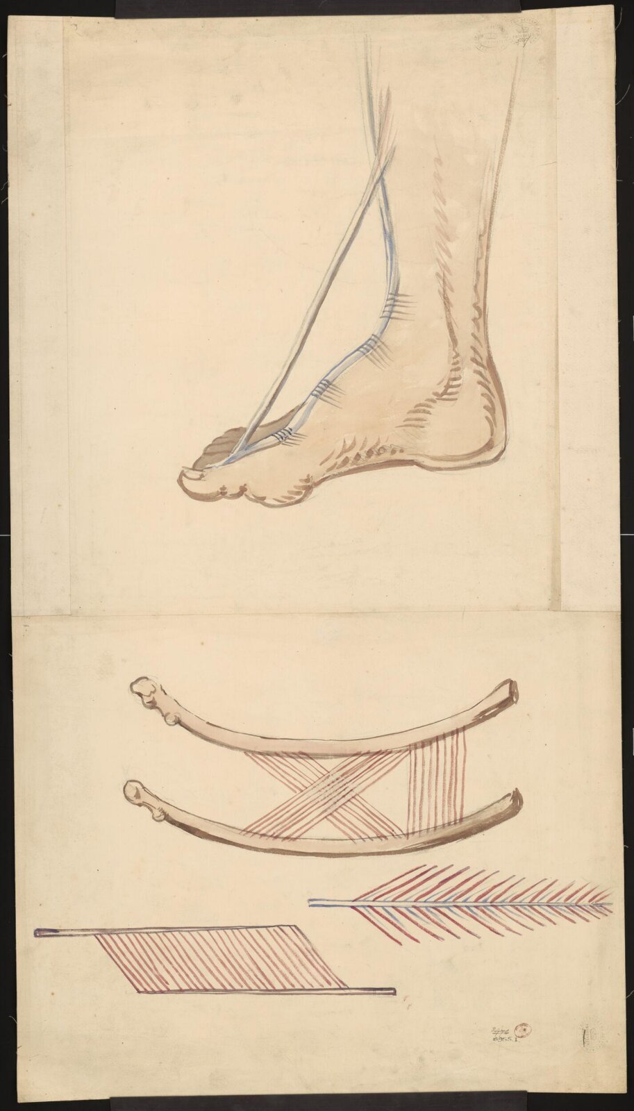 Drawing, 19th century