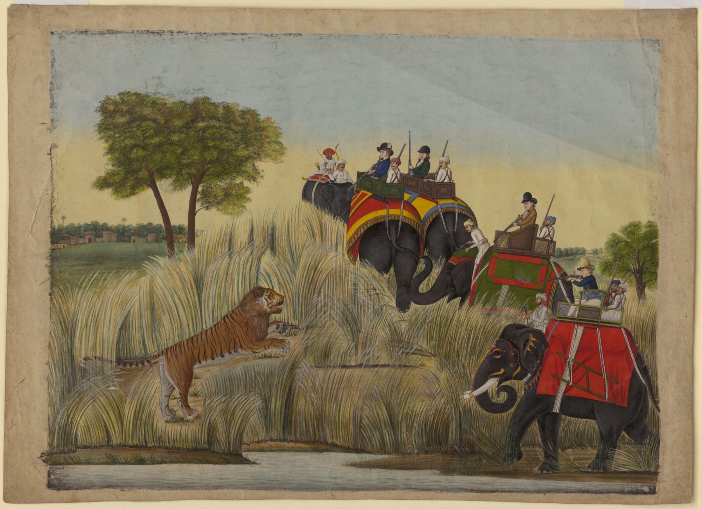 Four elephants with Europeans seated in the howdahs taking part in a tiger hunt., ca.1800