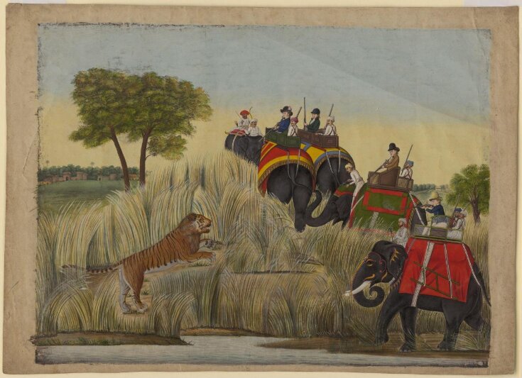 Four elephants with Europeans seated in the howdahs taking part in a tiger hunt. top image