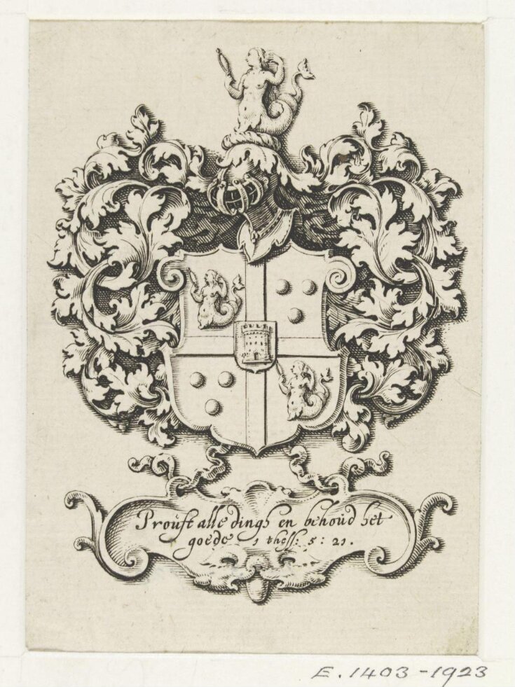 Arms of the Opperdoes Alewijn family top image
