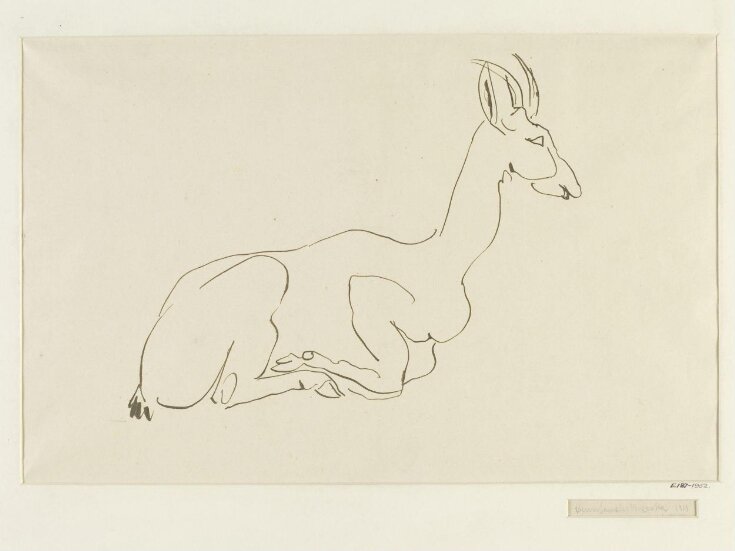 A gazelle top image