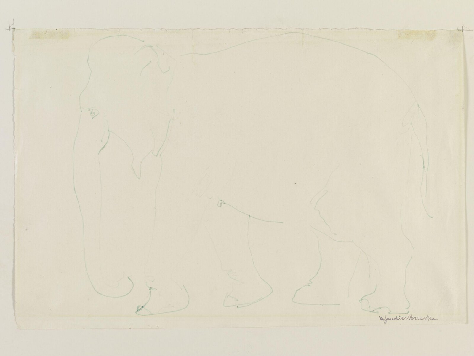 Drawing, Henri Gaudier-Brzeska, 1910-15