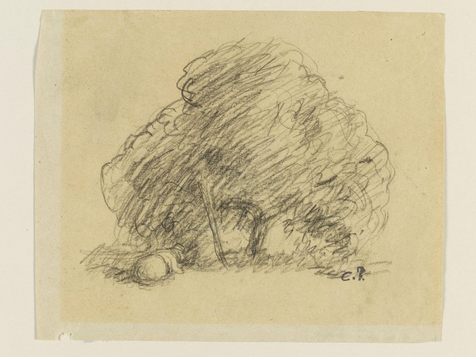 Sketch of a tree, late 19th century