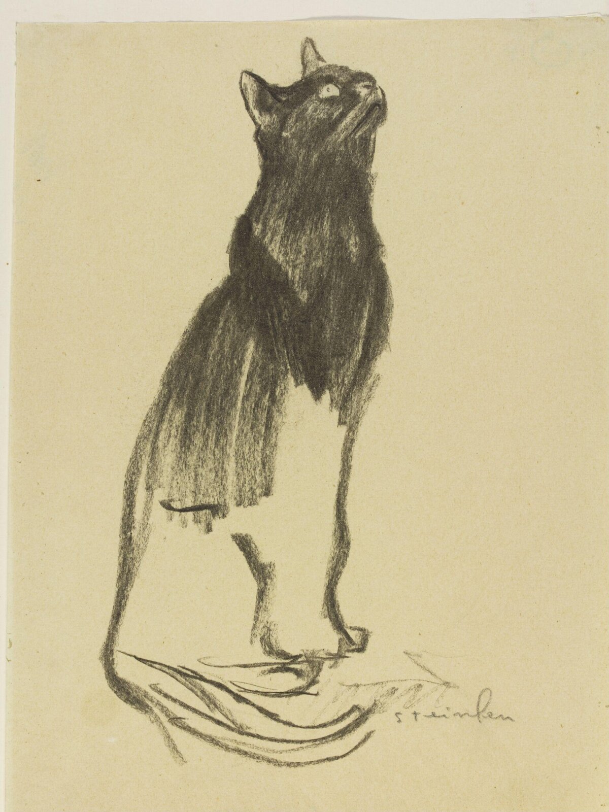Drawing