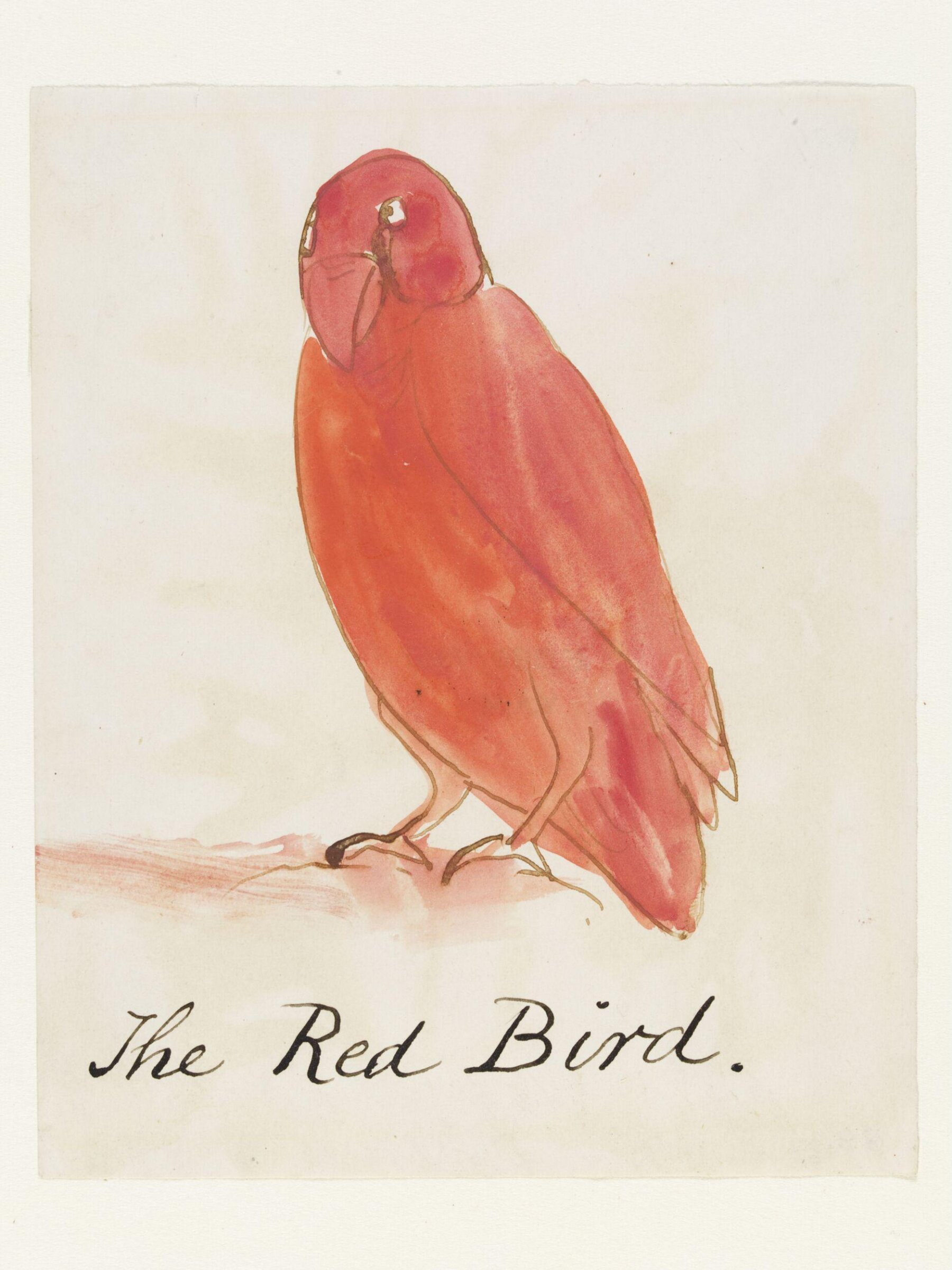 Drawing, Edward Lear, c.1880