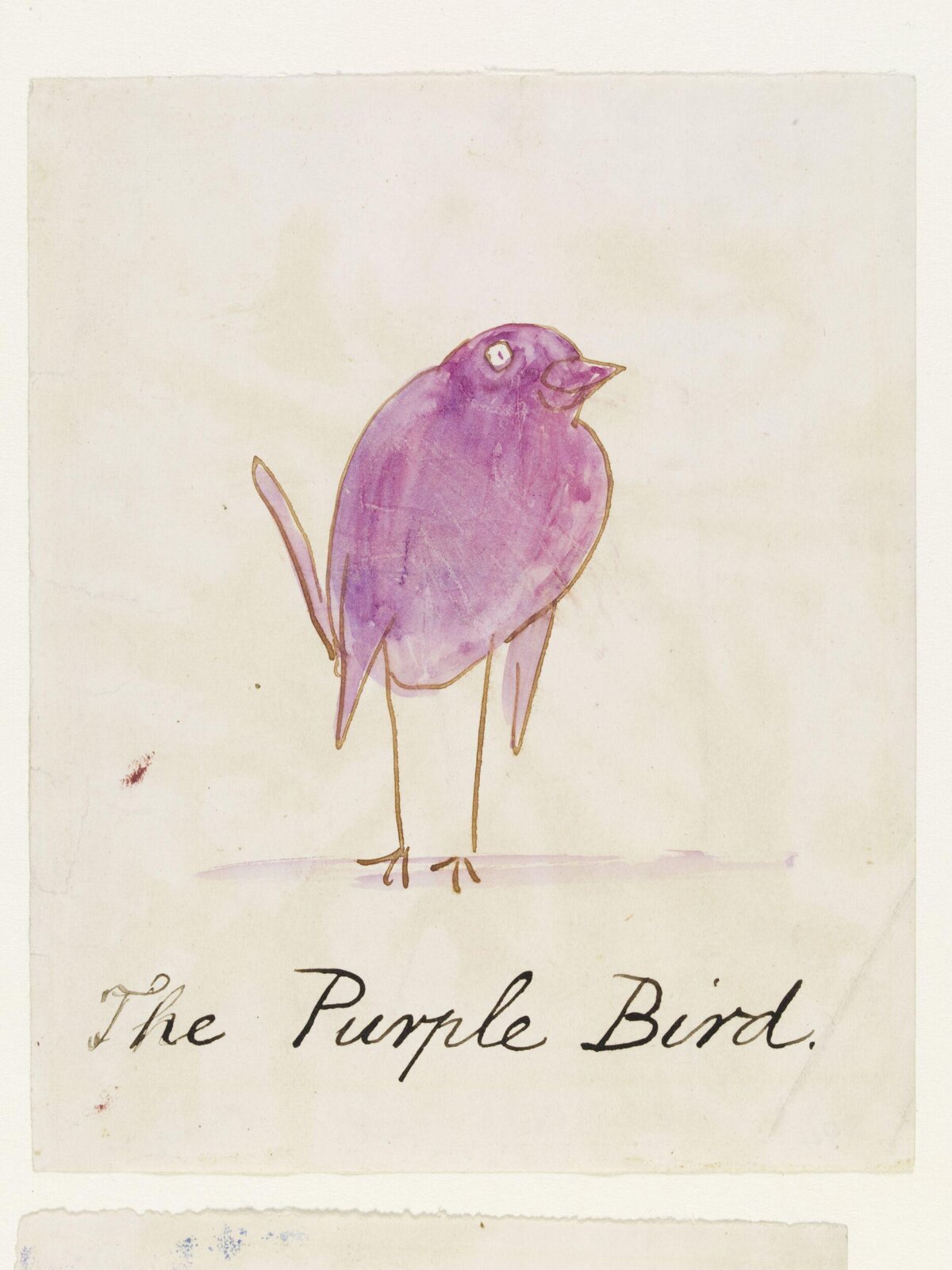 Drawing, Edward Lear, c.1880