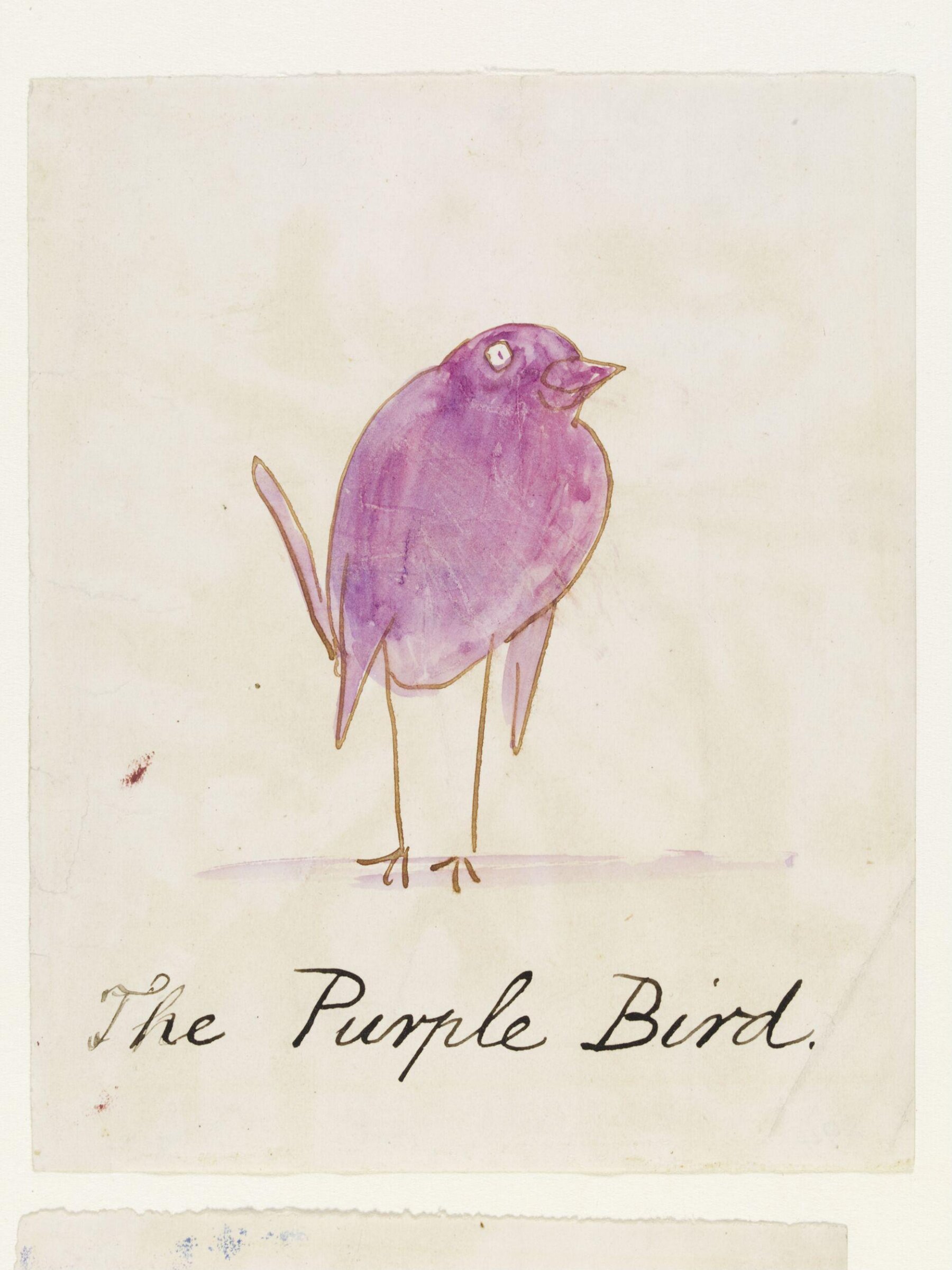 Drawing, Edward Lear, c.1880