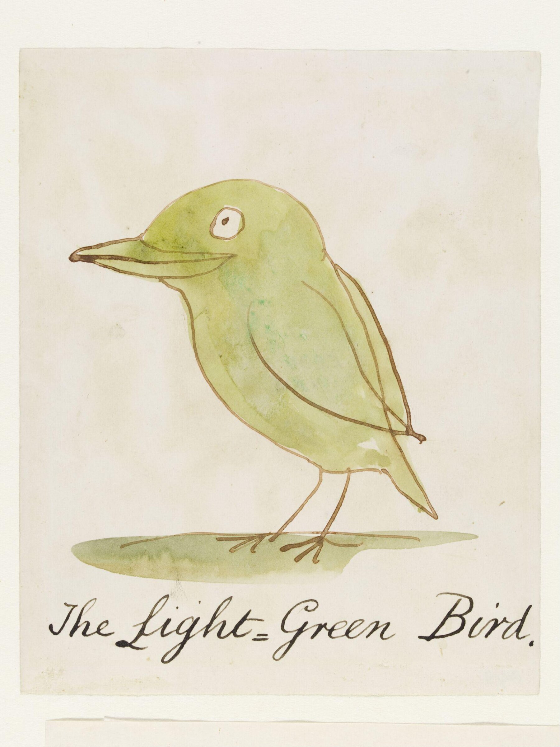 Drawing, Edward Lear, c.1880