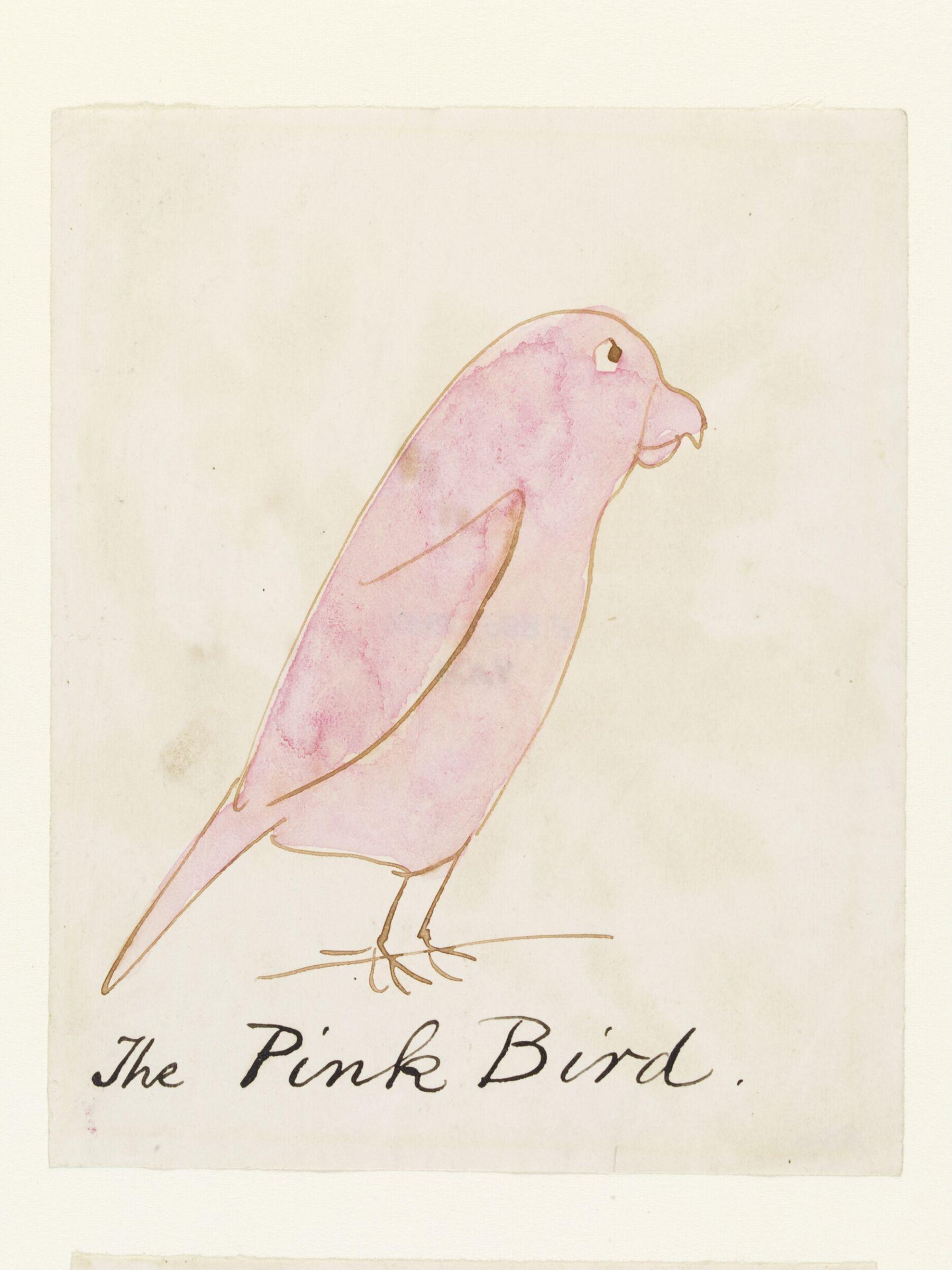 Drawing, Edward Lear, c.1880