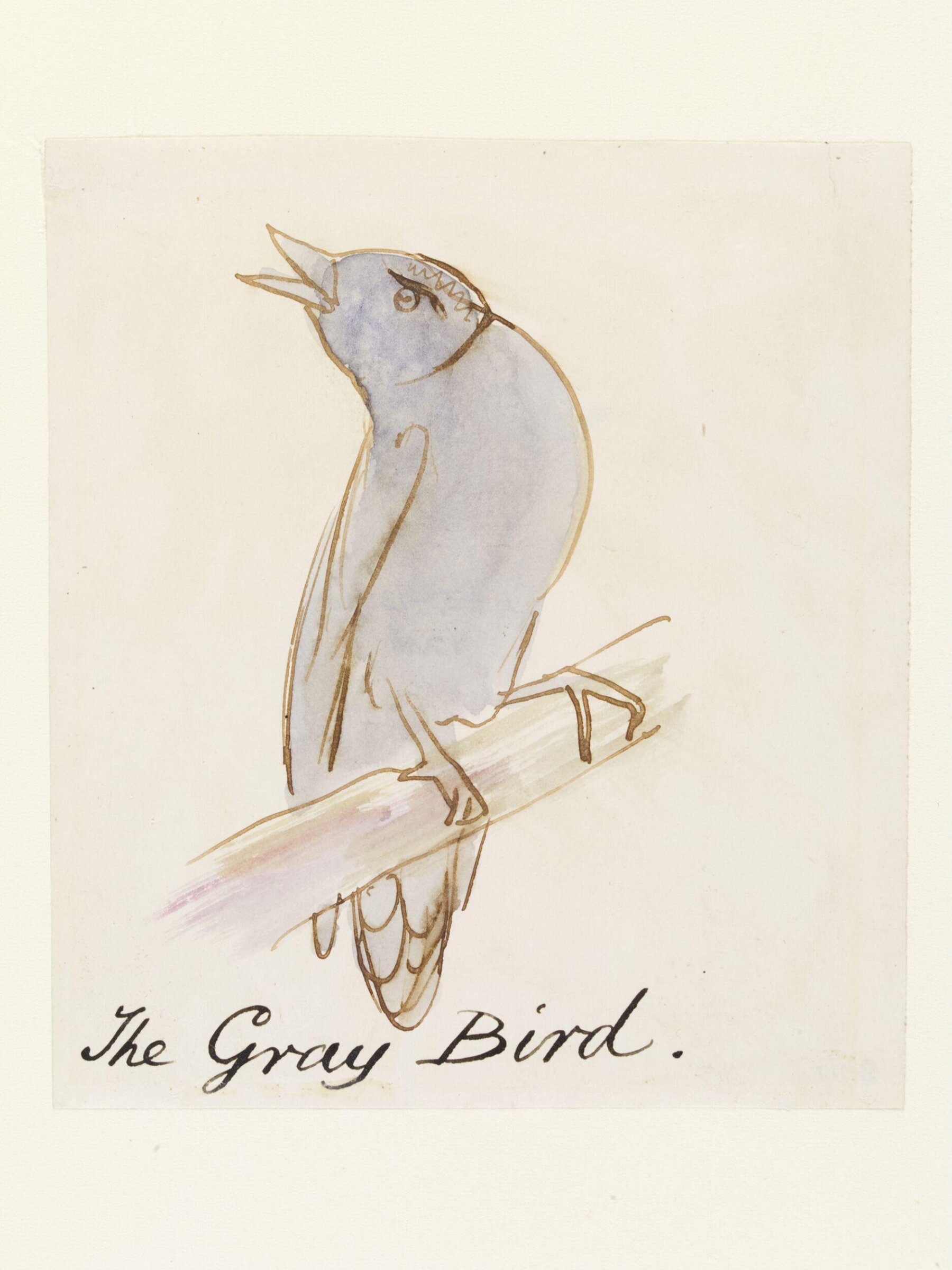 Drawing, Edward Lear, c.1880