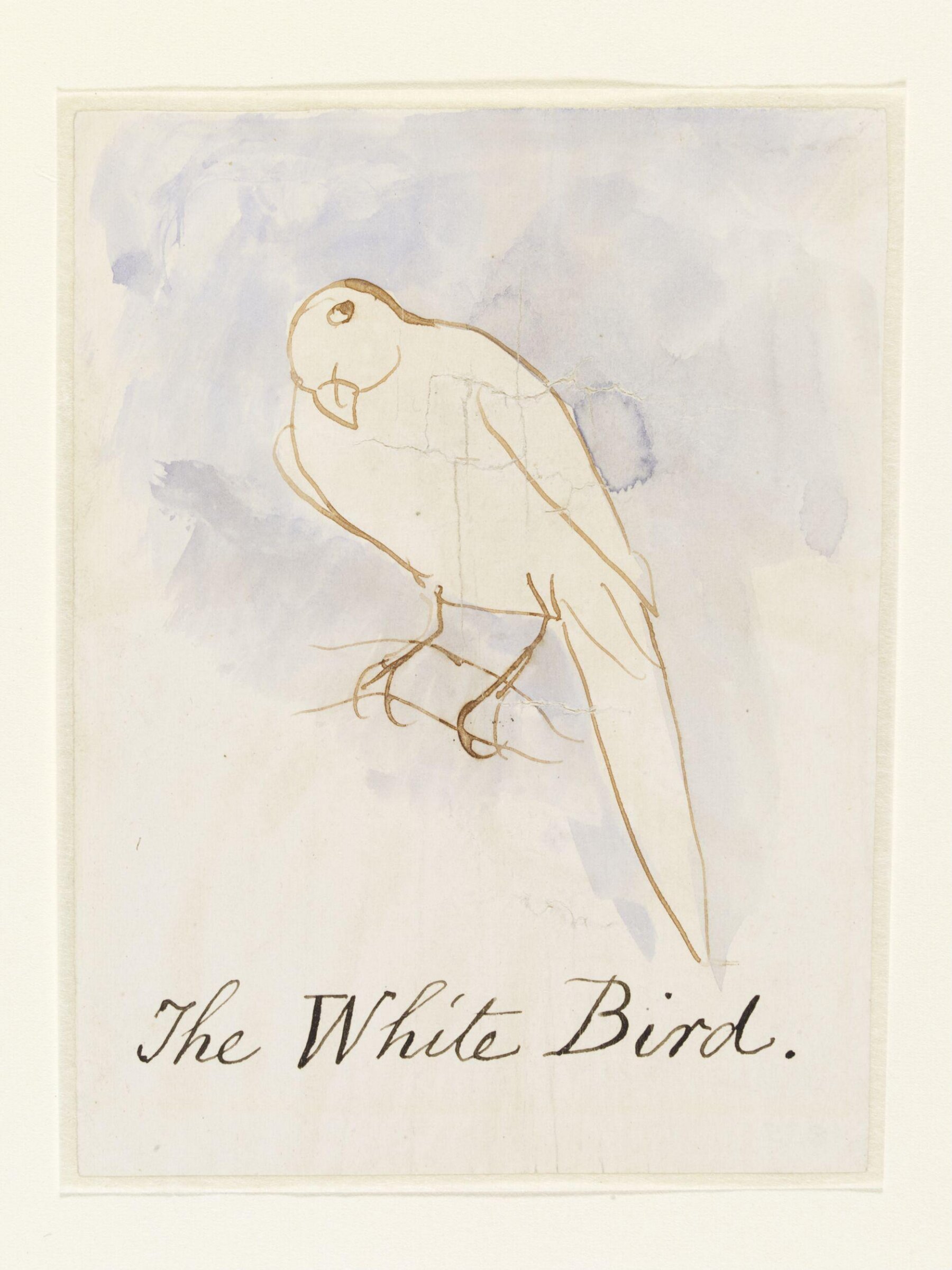Drawing, Edward Lear, c.1880