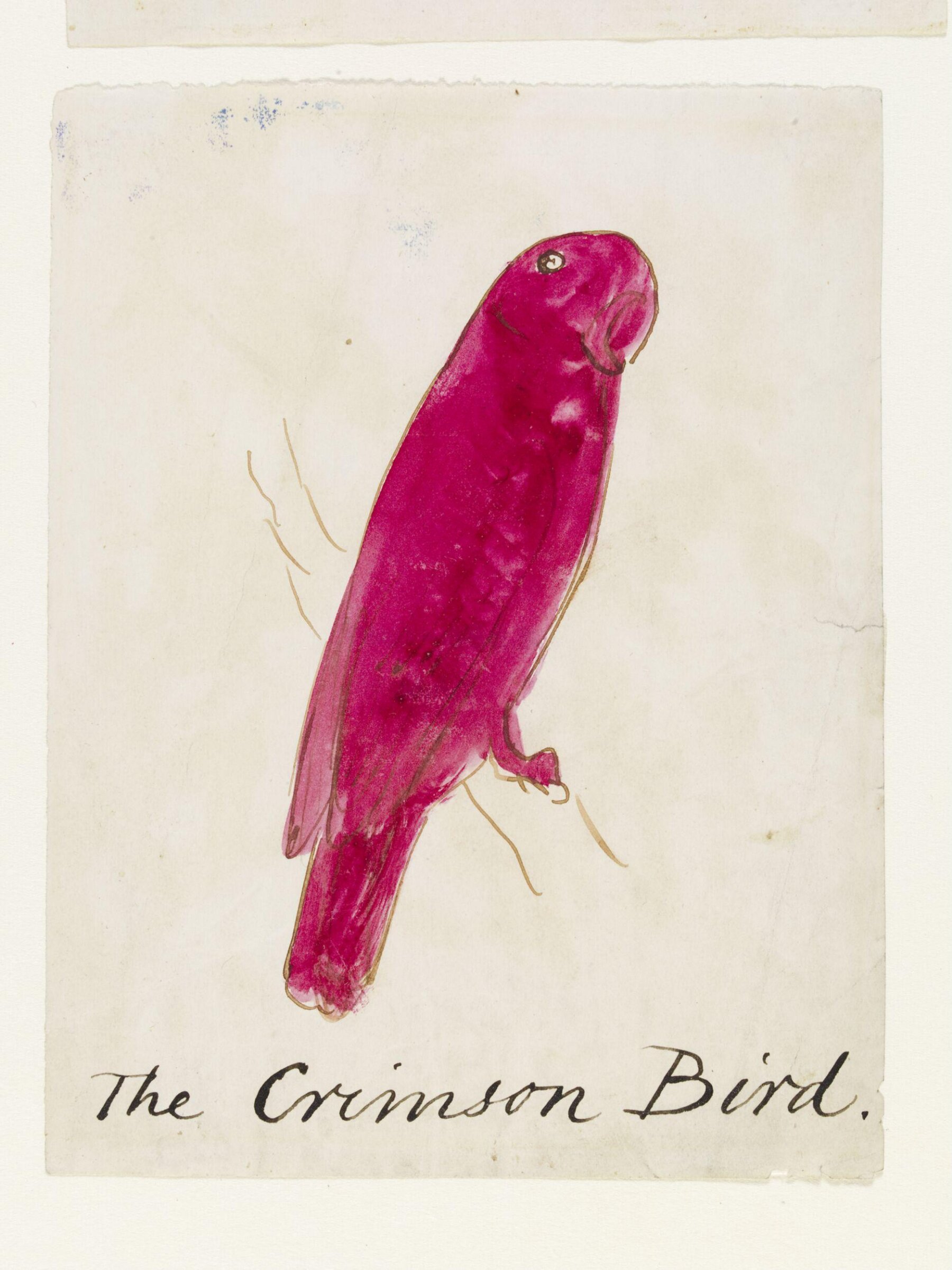 Drawing, Edward Lear, c.1880