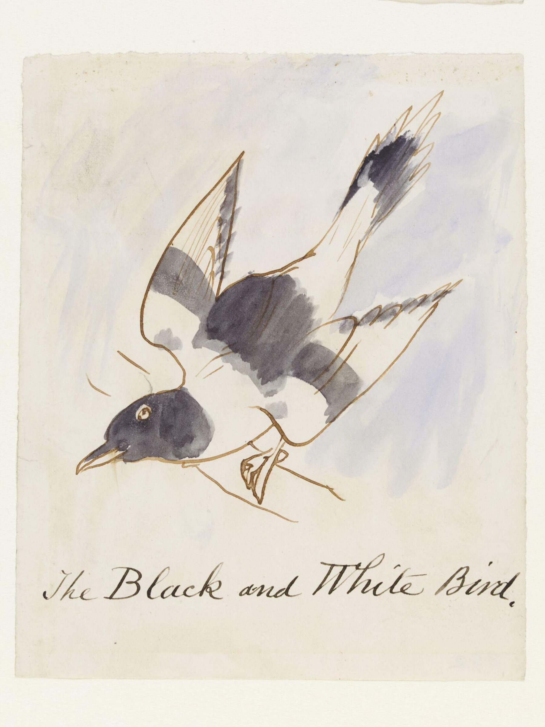 Drawing, Edward Lear, c.1880