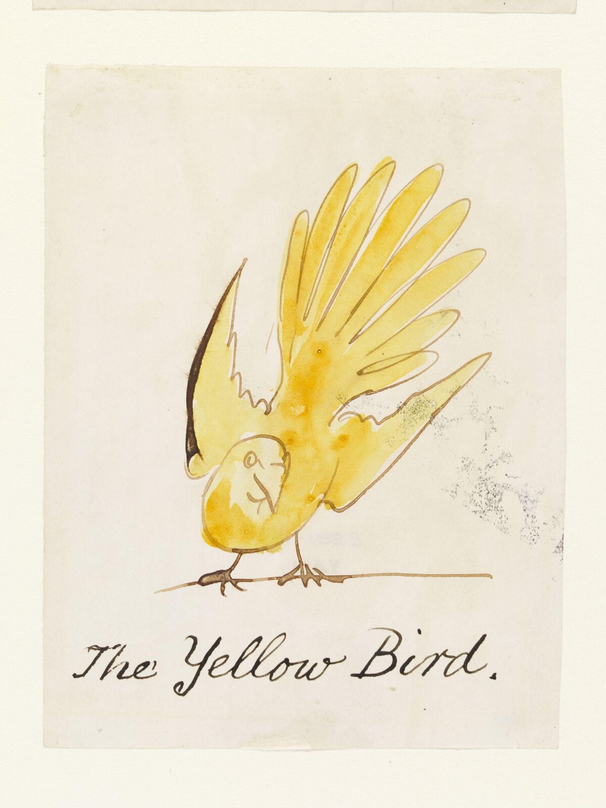 Drawing, Edward Lear, c.1880